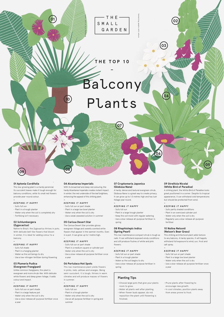 THE TOP 10 BALCONY PLANTS -   23 beautiful balcony garden
 ideas
