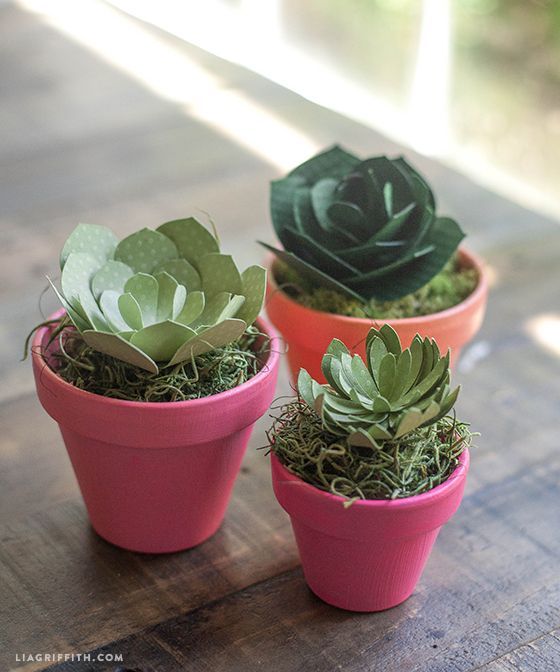 Patterns and Tutorial for Simple Paper Succulents -   23 diy paper cactus
 ideas