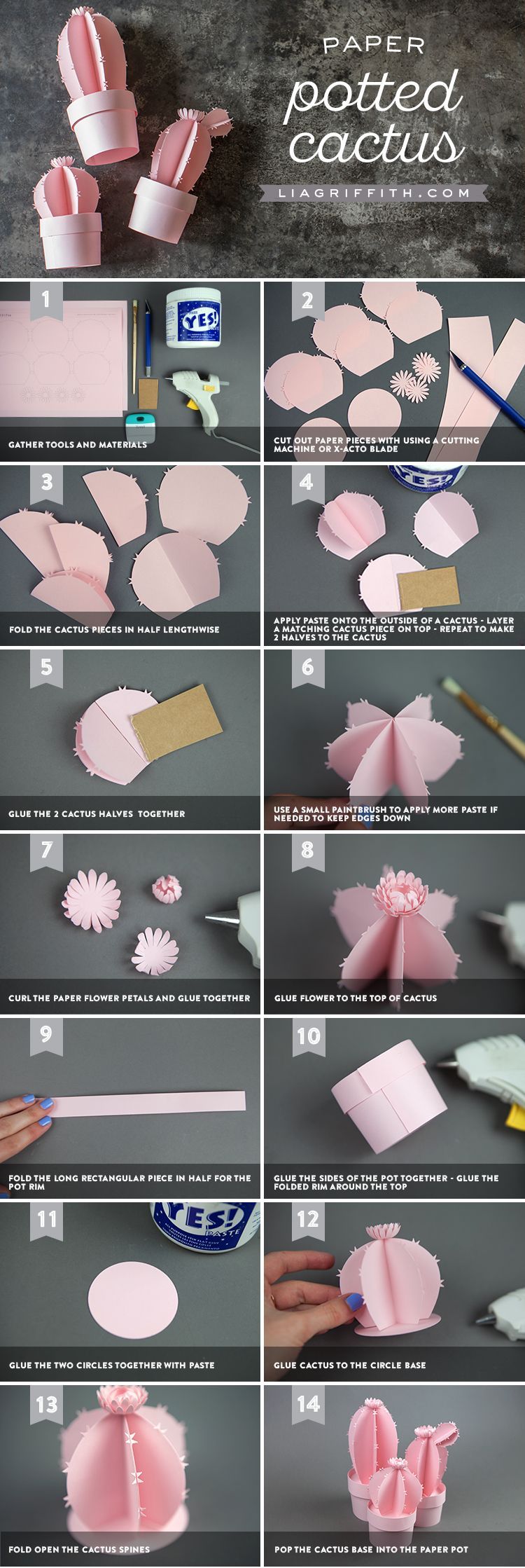 3D Potted Paper Cactus -   23 diy paper cactus
 ideas