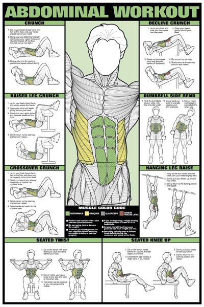 Abdominal Workout Wall Chart (Men's) Professional Fitness Poster - Fitnus Corp -   23 fitness abs mens
 ideas