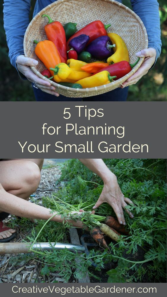 5 Tips for Getting the Most From Your Small Garden -   23 small garden bbq
 ideas