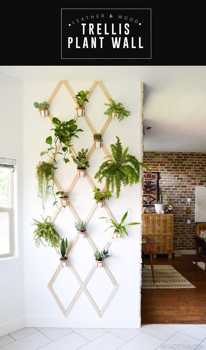 DIY Wood and Leather Trellis Plant Wall -   24 boho home decor
 ideas