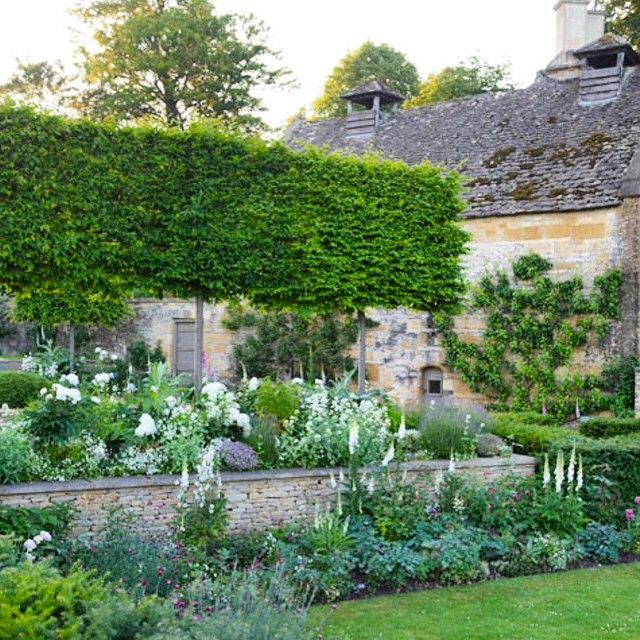 I featured a different part of this garden in an earlier post. It is the famous garden of Temple Guiting, a Cotswold garden designed by the award winning talented Jinny Blom. I like everything about this image from the drystone walling to the palette and the plants. Charming!! -   24 english garden wall
 ideas