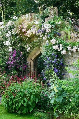 24 english garden wall
 ideas