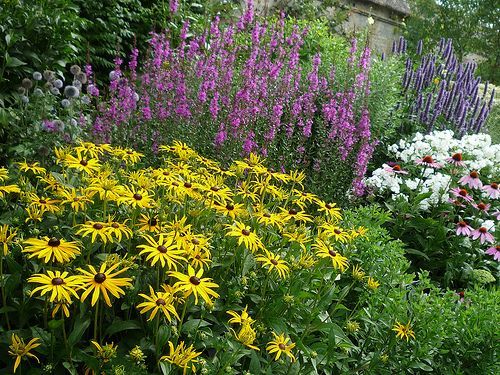 english flower gardens in colorado | Gardening in England | Gardeners Tips -   24 english garden wall
 ideas