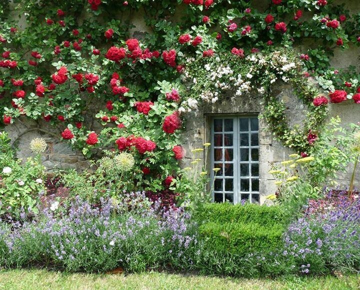 Very british garden.                                                       …                                                                                                                                                                                 More -   24 english garden wall
 ideas