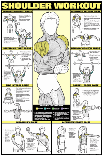 Shoulder Workout Poster - Laminated -   24 fitness at training
 ideas