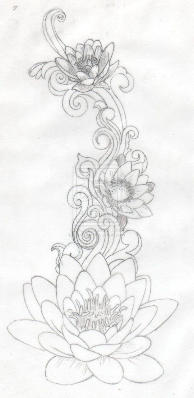 24 koi lotus tattoo
 ideas