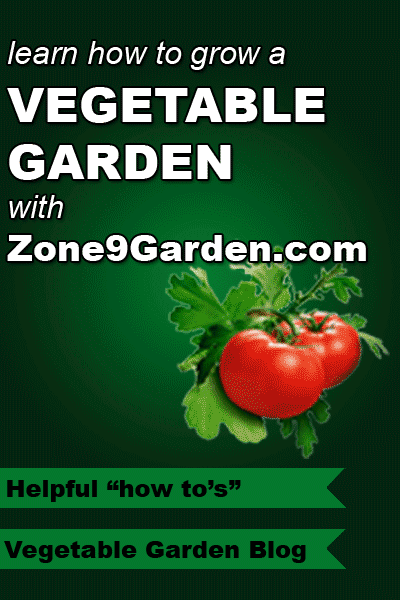 Learn how to grow a vegetable garden with Zone9Garden.com. Including a blog, forum and much more. -   24 winter garden zone 9
 ideas