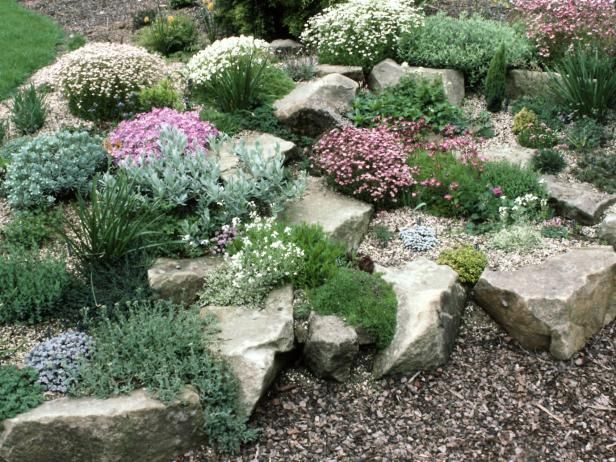 Create a Rock Garden: Tips for Success -   25 diy rock garden
 ideas