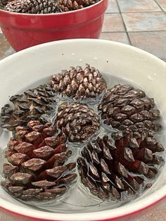 How To Treat Outdoor Pinecones For Crafts -   25 simple crafts gifts
 ideas