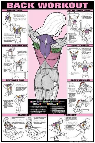 17 fitness inspiration poster
 ideas