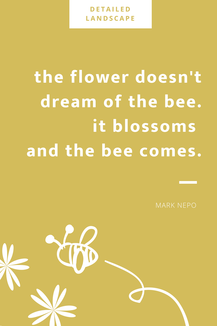 the flower and the bee | garden quotes | gardening -   17 garden quotes sad
 ideas