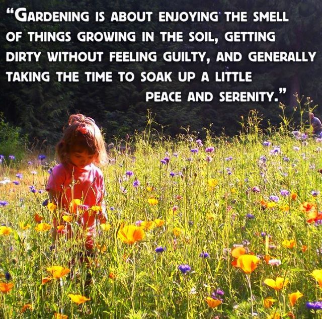 17 garden quotes sad
 ideas