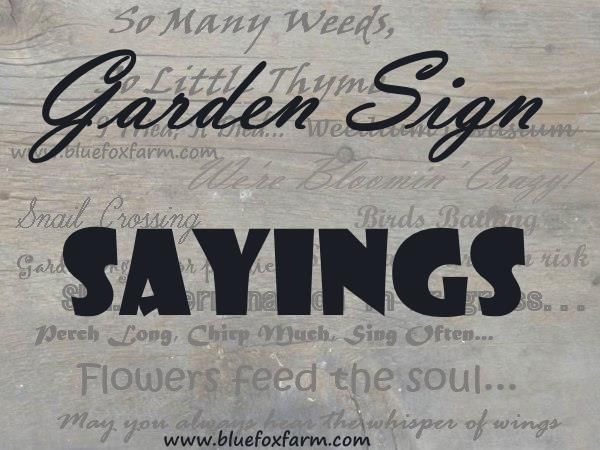 Garden Sign Sayings - funny quotes, whimsical sayings -   17 garden quotes sad
 ideas