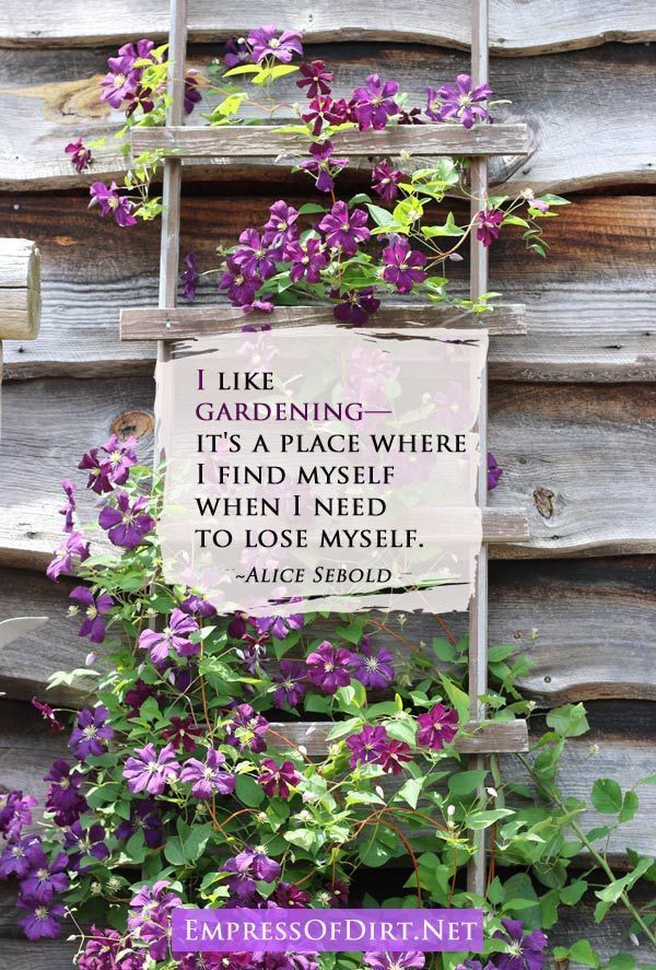 What's Your Superpower -   17 garden quotes sad
 ideas