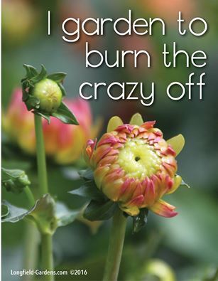 Do you garden to burn the crazy off? I do!! -   17 garden quotes sad
 ideas