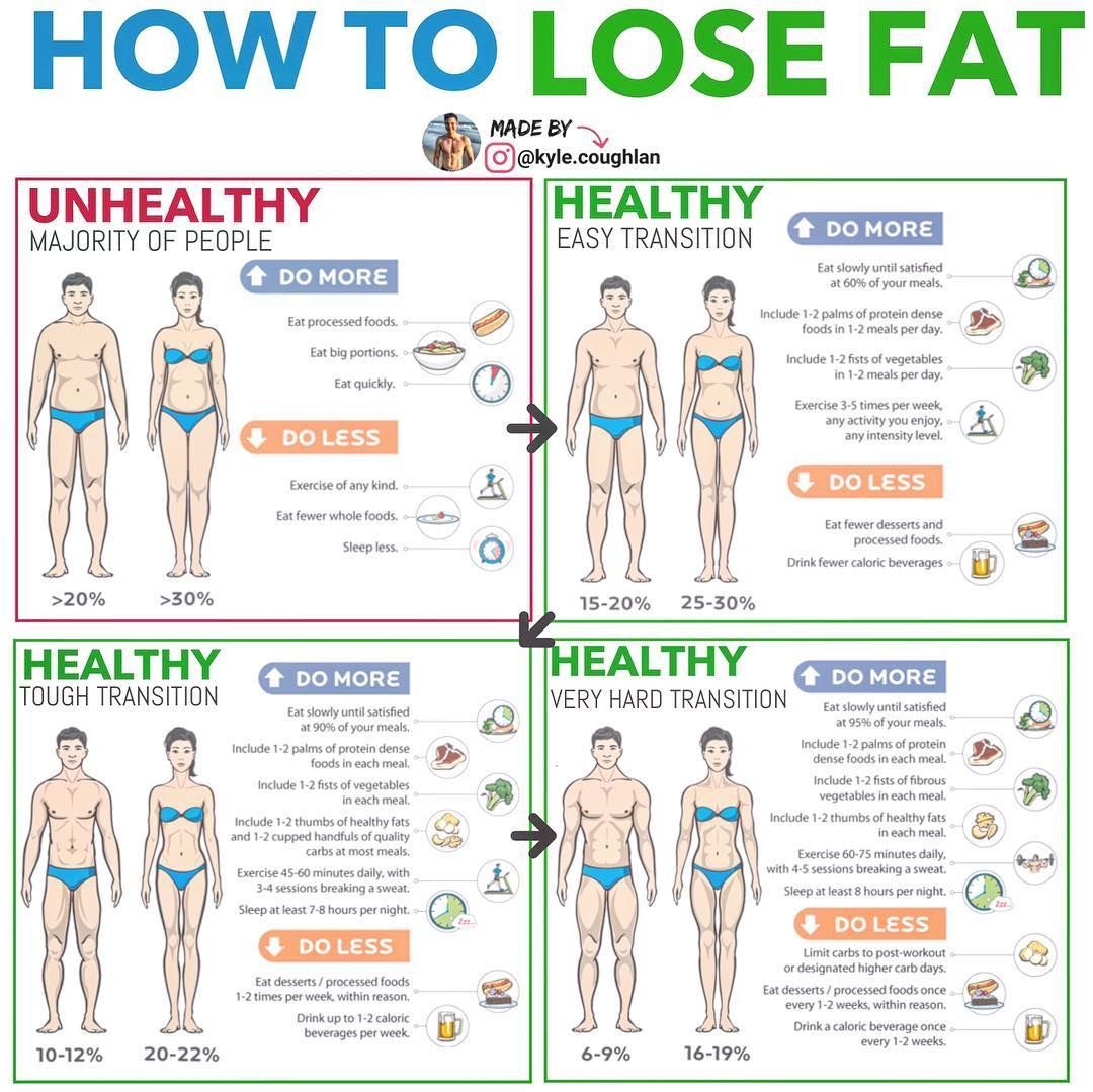 19 body fat diet
 ideas