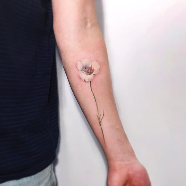 A mariposa lily, thanks Jonathan! -   19 watercolor tattoo lily
 ideas