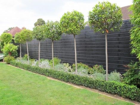 21 black garden fence ideas