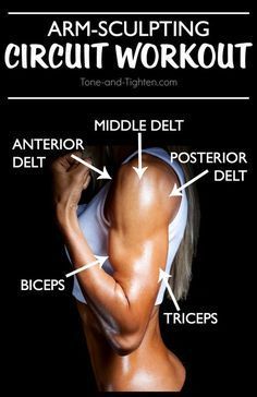 6 Best Exercises For Arm Definition At Home -   21 fitness workouts life
 ideas