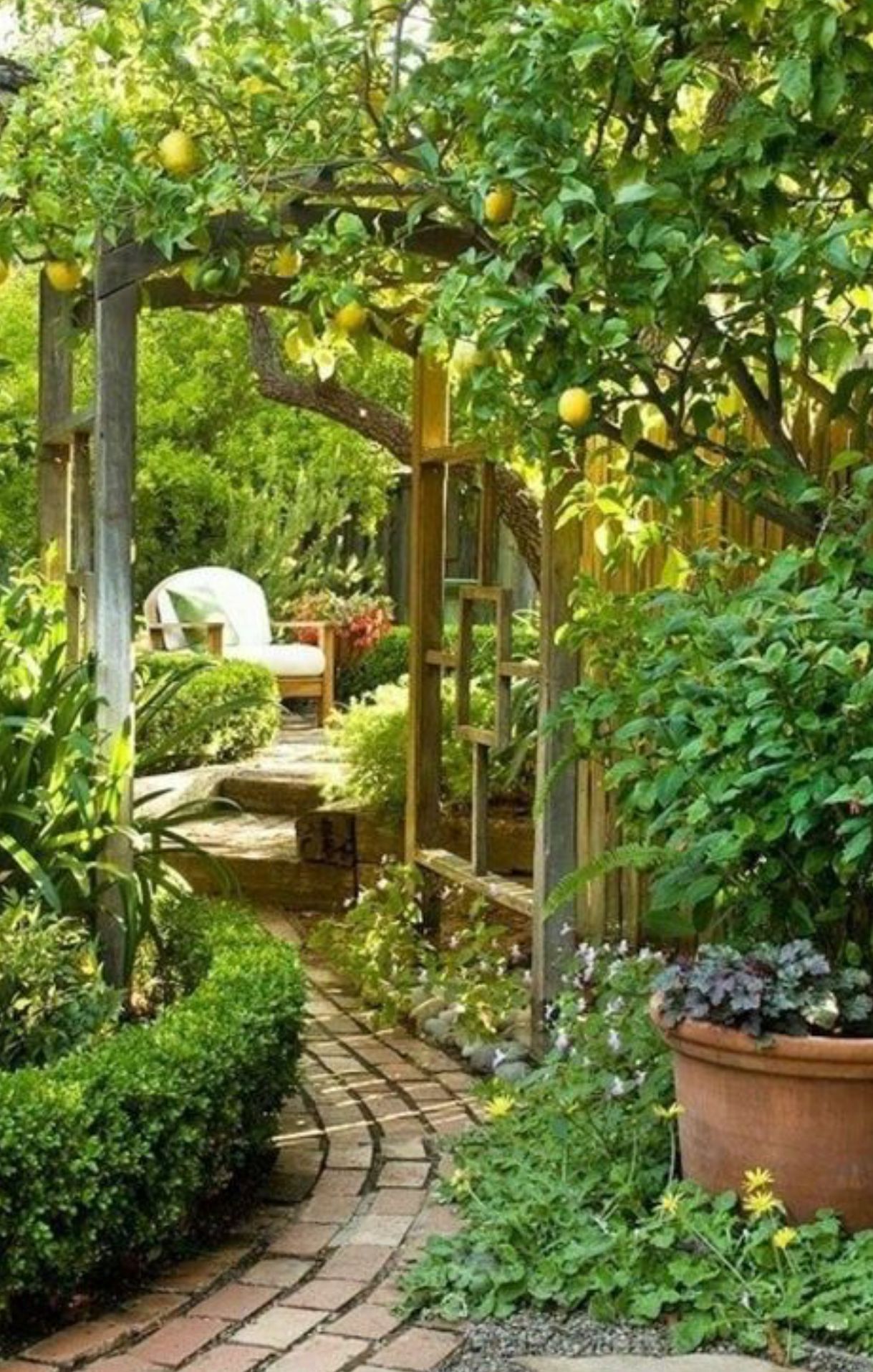 22 chodnik garden path ideas