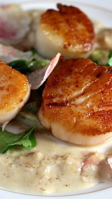 Pan-Seared Sea Scallops with a Champagne Truffle Cream -   22 gourmet seafood recipes
 ideas