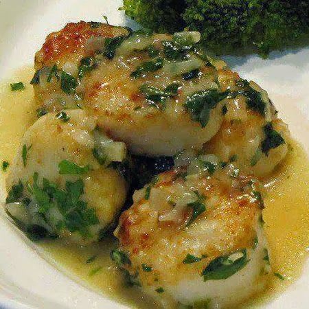 Scallops Provencal -   22 gourmet seafood recipes
 ideas