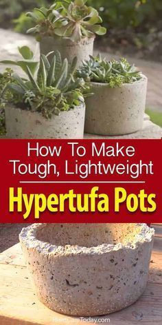Looking for something NEW in garden design? Try Hypertufa pots! -   23 decorating garden pots
 ideas