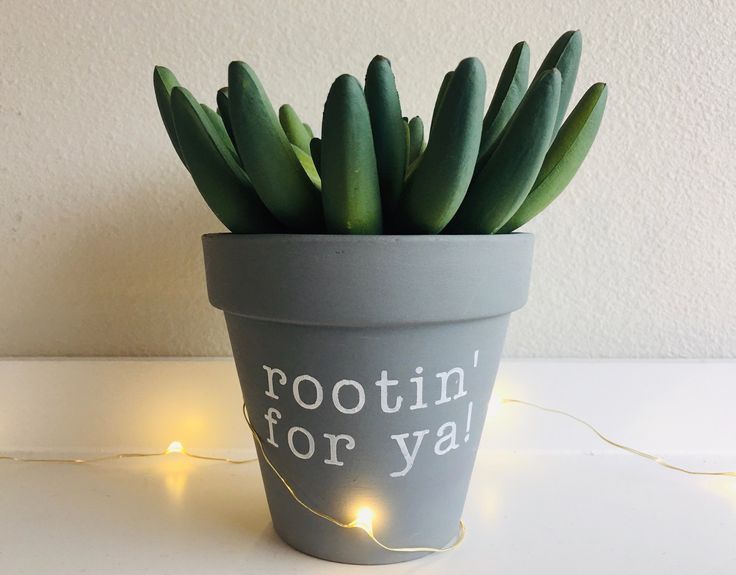 Rootin' For Ya Punny Planter | Indoor Pot | Cactus Planter | Cacti Planter | Pot | Succulent Planter | Small Planter | Gray Pot | Plant Pun -   23 decorating garden pots
 ideas