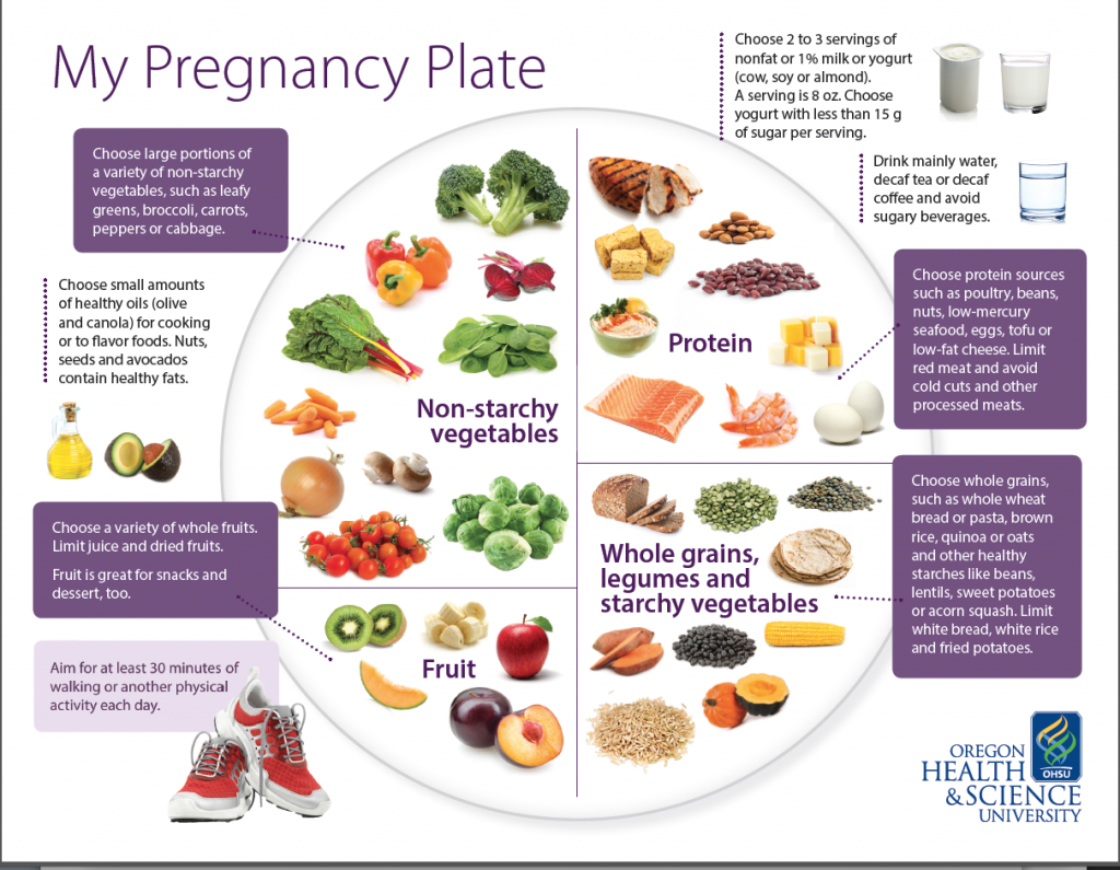 ‘My Pregnancy Plate’: a blueprint for healthy eating during pregnancy -   23 diabetic pregnancy diet
 ideas