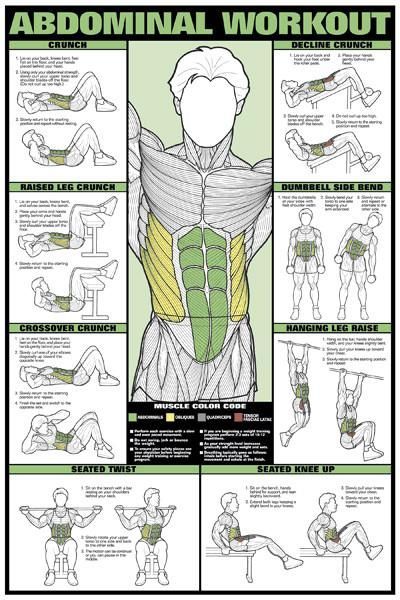 Abdominal Workout Wall Chart (Men's) Professional Fitness Poster - Fitnus Corp -   23 mens fitness muscle
 ideas