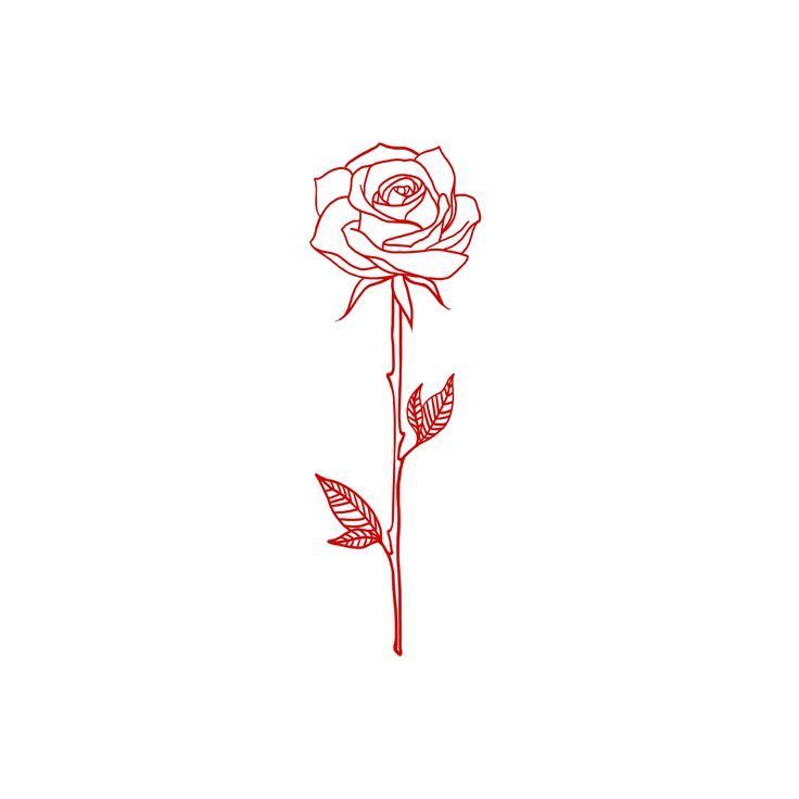 Single-line drawing of a rose. A beautiful tattoo idea! -   23 simple tattoo rose
 ideas