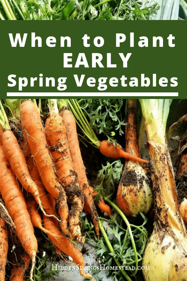 When to Plant Early Spring Vegetables -   23 vegtable container garden
 ideas