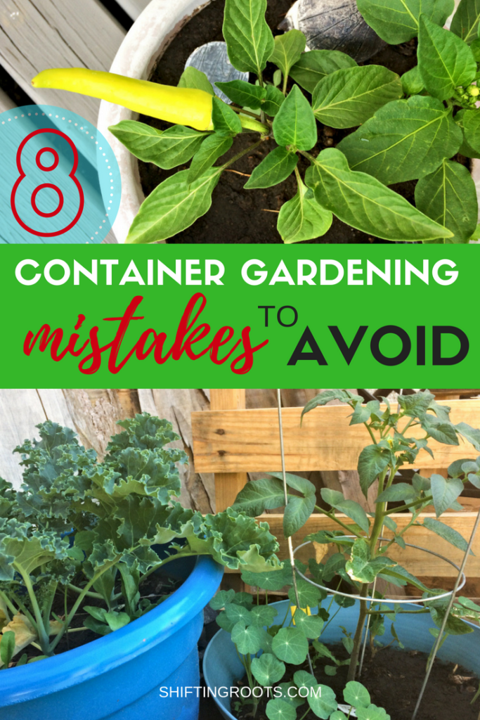 Avoid These 8 Mistakes for a Better Vegetable Container Garden -   23 vegtable container garden
 ideas