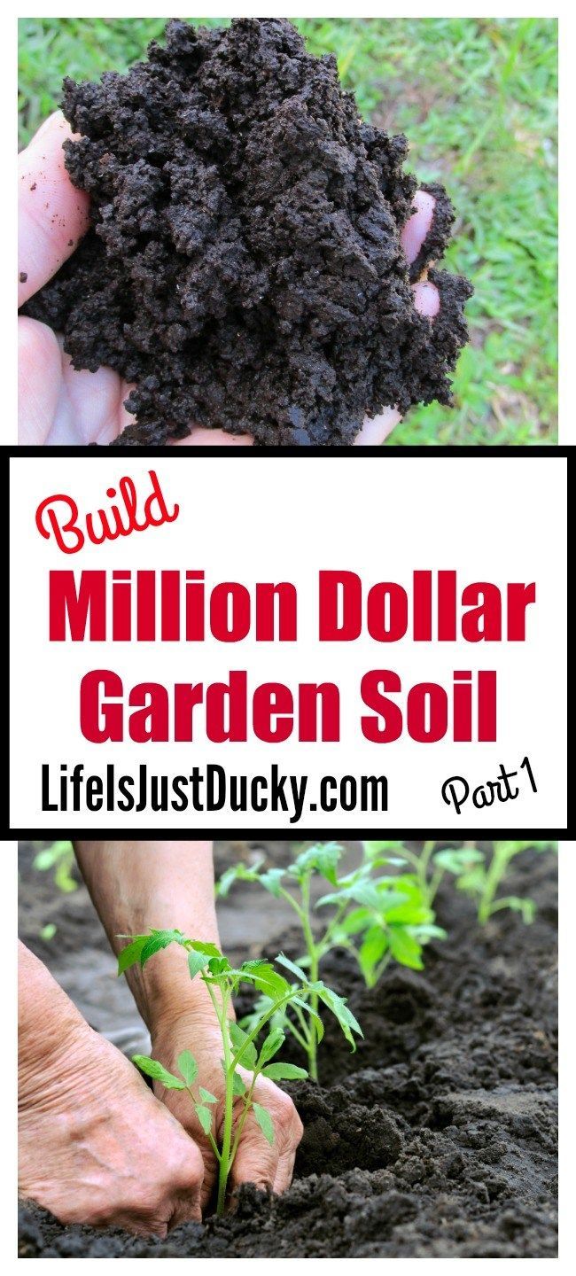 Build Million Dollar Garden Soil -   23 vegtable container garden
 ideas