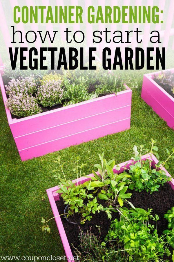 Container Gardening - How to start a Vegetable Garden -   23 vegtable container garden
 ideas