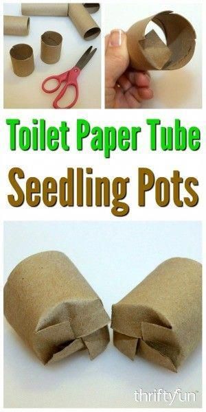 Toilet Paper Tube Seedling Pots -   23 vegtable container garden
 ideas