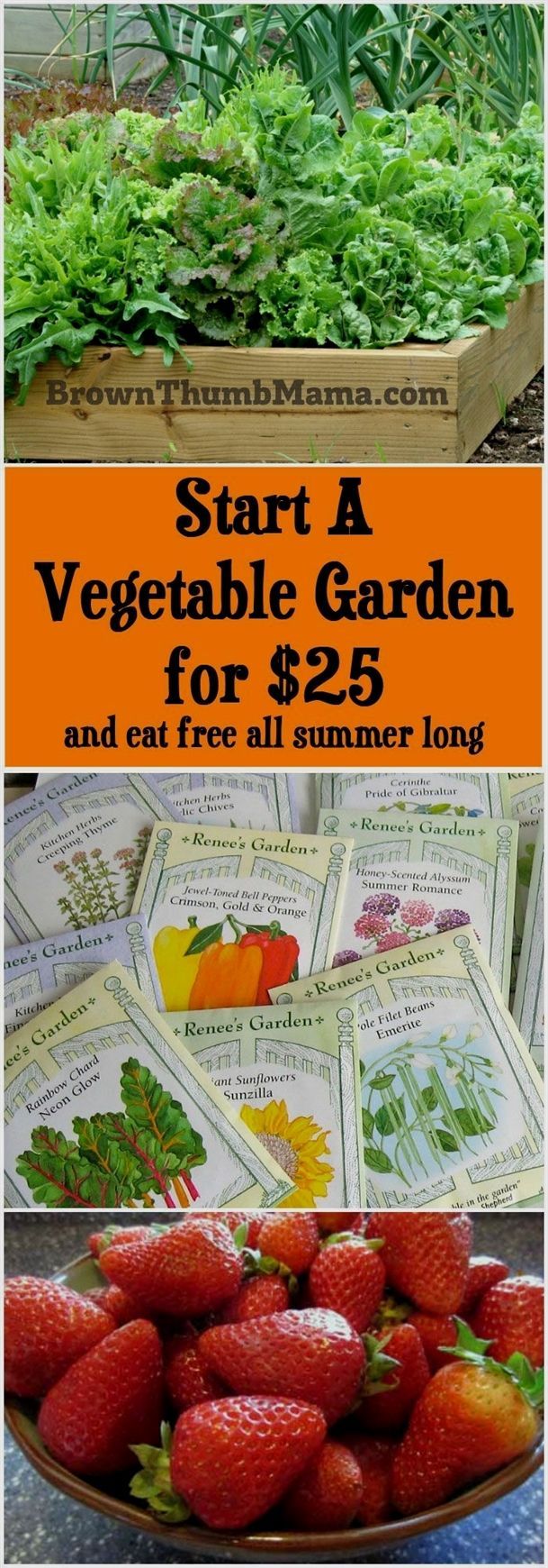 Start A Vegetable Garden for $25 -   23 vegtable container garden
 ideas