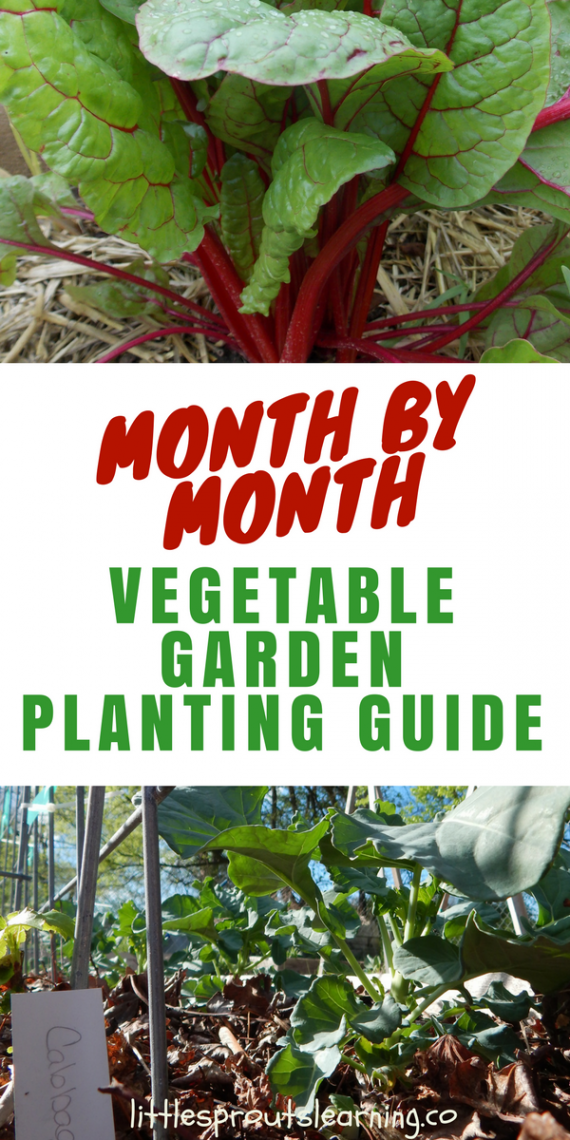 Month by Month Vegetable Garden Planting Guide -   23 vegtable container garden
 ideas