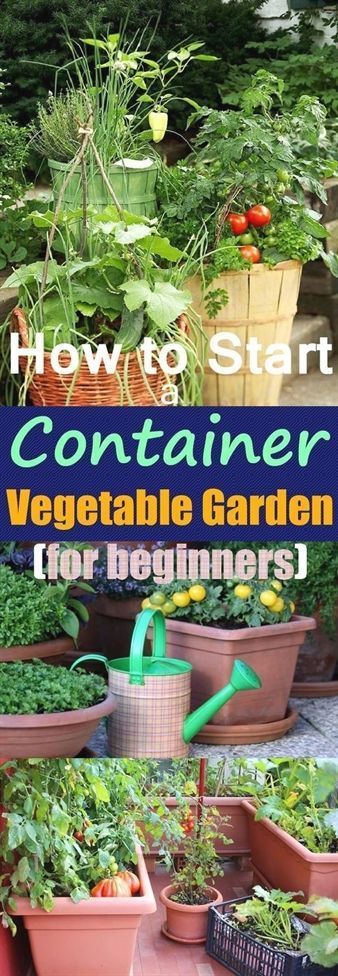 23 vegtable container garden
 ideas