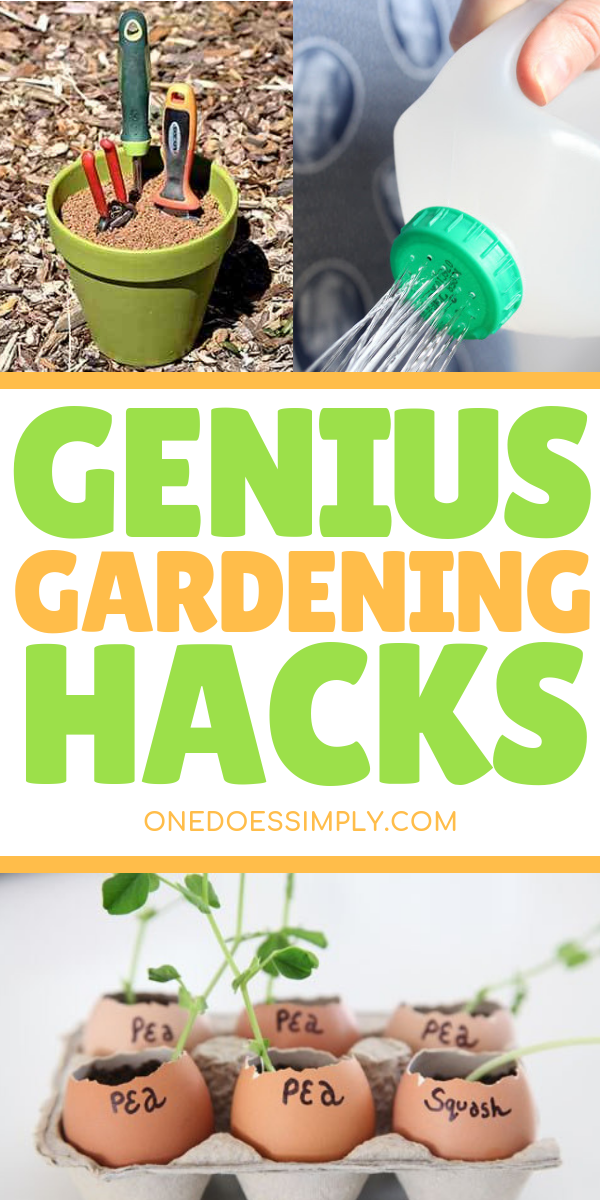 10 Brilliant Gardening Hacks You Should Try to Be A Gardening Genius -   23 vegtable container garden
 ideas