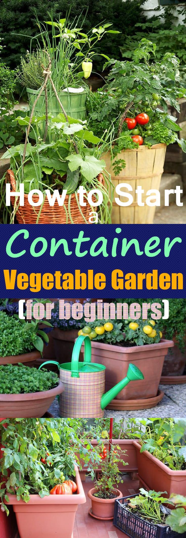 Growing Vegetables In Pots -   23 vegtable container garden
 ideas