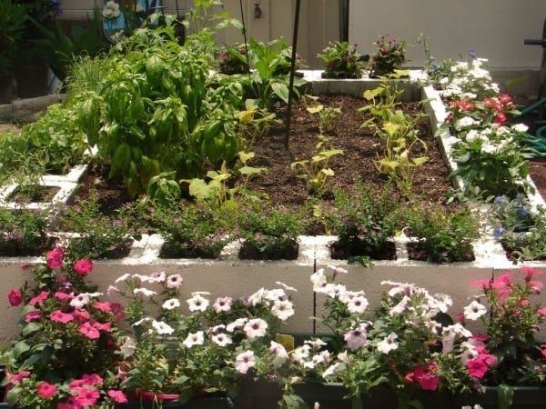 20 Unique & Fun Raised Garden Bed Ideas -   24 cinder block raised garden
 ideas