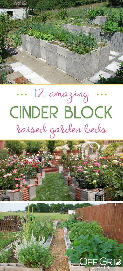12 Amazing Cinder Block Raised Garden Beds -   24 cinder block raised garden
 ideas