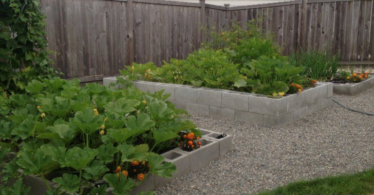 24 cinder block raised garden
 ideas