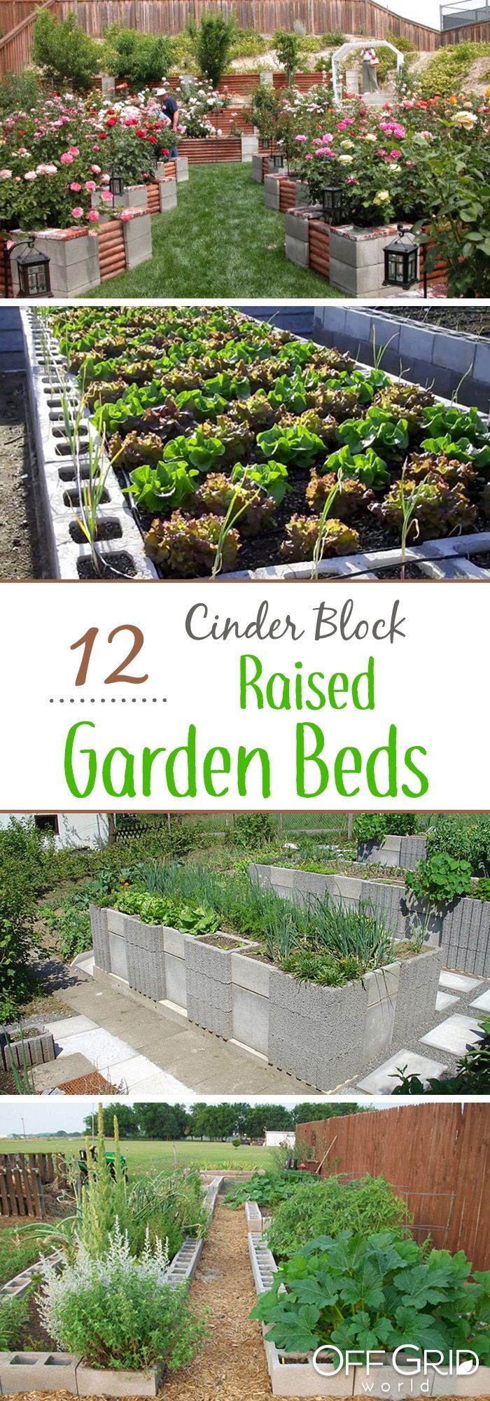 24 cinder block raised garden
 ideas