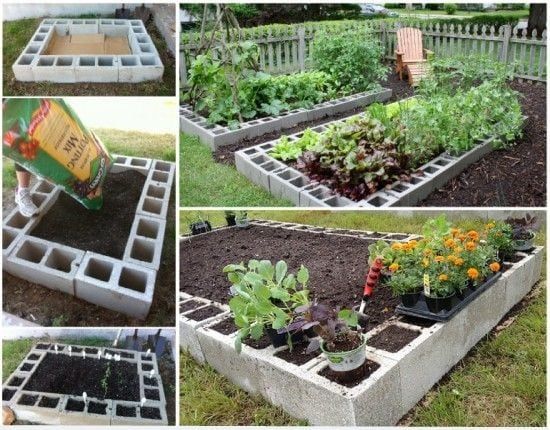 Mom Buys Cinder Blocks And Uses Them In Ways I Never Thought Of - Here Are 40 Stunning Ideas -   24 cinder block raised garden
 ideas