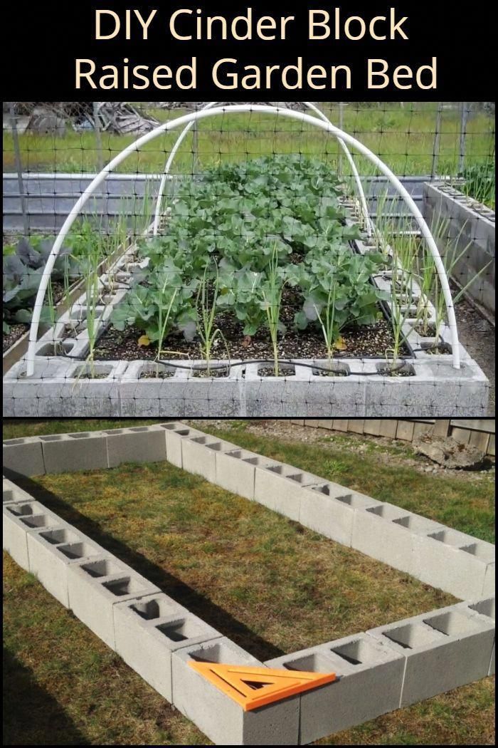 What sort of produce will you be growing in your cinder block raised garden bed? -   24 cinder block raised garden
 ideas