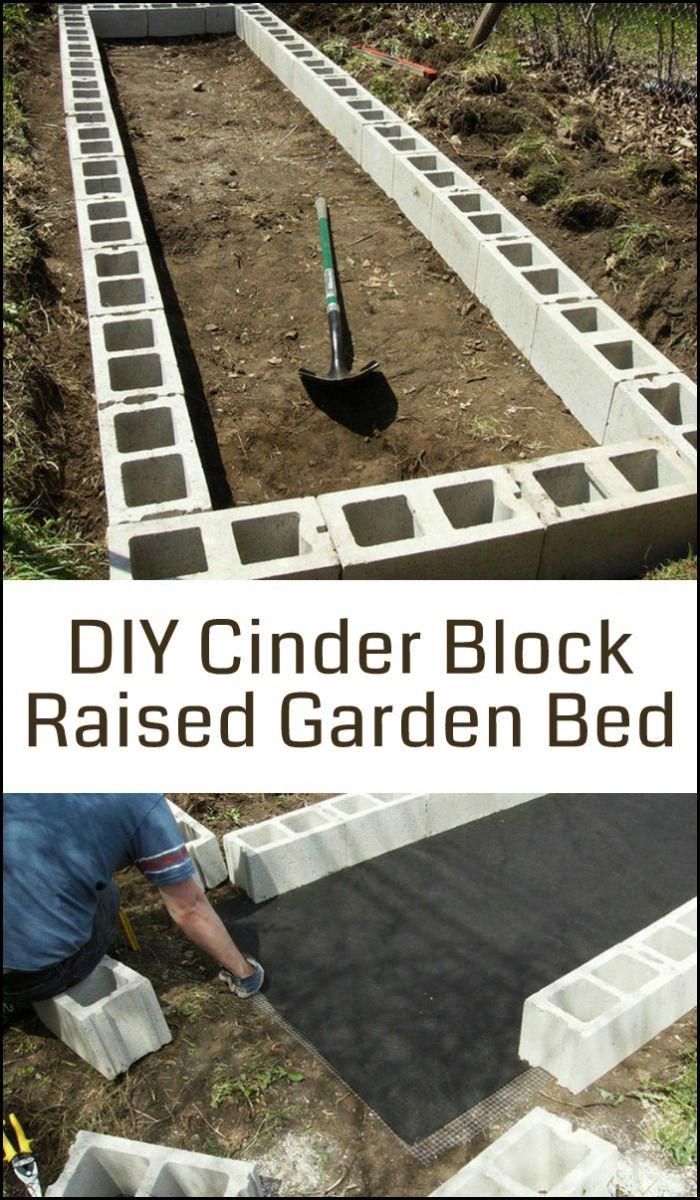 Cinder blocks make great frames for a raised garden bed as they’re more durable than untreated timbers and it may not be safe to use treated timber anyway! -   24 cinder block raised garden
 ideas